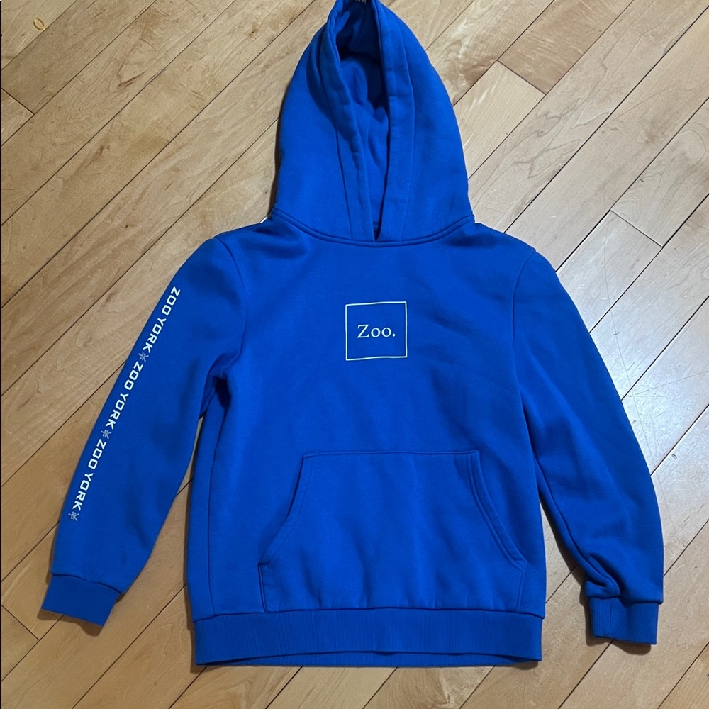 2/$30 Youth Kids Blue Zoo York Hoodie